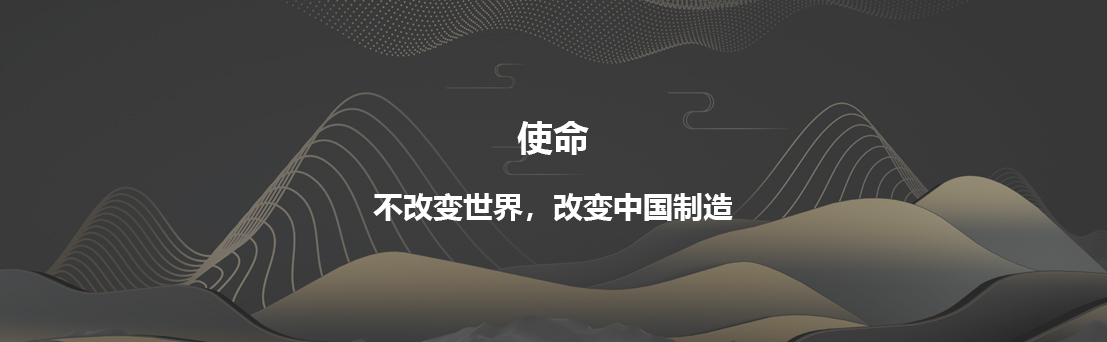 愿景